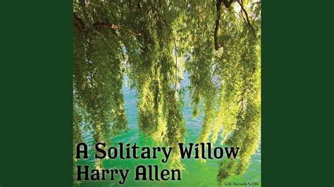  A Solitary Willow e o Sentimento de Melancolia Persistente em Meio ao Silêncio!